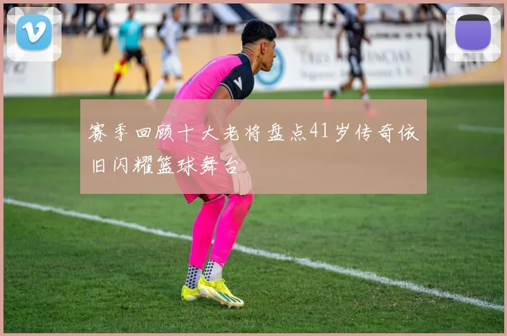 赛季回顾十大老将盘点41岁传奇依旧闪耀篮球舞台