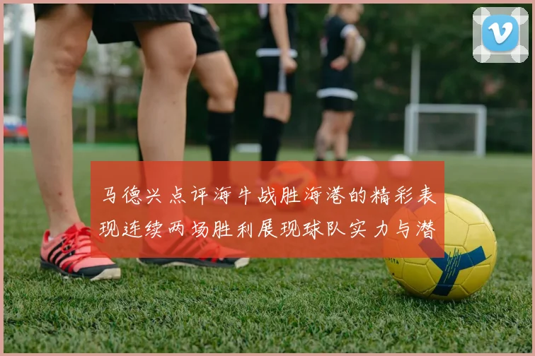马德兴点评海牛战胜海港的精彩表现连续两场胜利展现球队实力与潜力